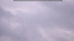 webcam-25-05-04_20-11.jpg