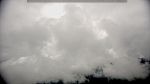 webcam-25-05-08_11-11.jpg