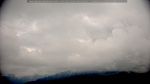 webcam-25-05-08_12-53.jpg