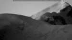 webcam-25-05-10_05-13.jpg