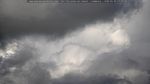 webcam-25-05-20_17-10.jpg