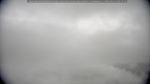 webcam-25-05-21_09-10.jpg