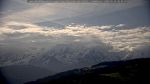 webcam-25-05-25_08-50.jpg