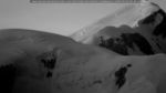webcam-25-06-25_04-46.jpg