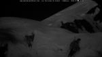 webcam-25-07-04_22-48.jpg