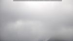 webcam-25-07-21_08-47.jpg
