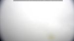 webcam-25-07-24_07-39.jpg