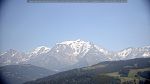 webcam-25-08-08_13-36.jpg