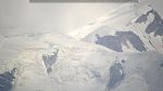 webcam-25-08-13_17-14.jpg