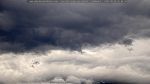 webcam-25-08-29_16-48.jpg