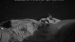 webcam-25-05-11_01-19.jpg