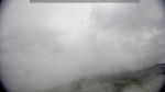 webcam-25-05-20_12-04.jpg
