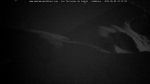 webcam-25-06-09_23-16.jpg