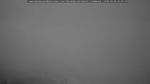 webcam-25-06-26_05-20.jpg