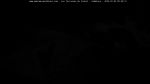 webcam-25-07-05_00-30.jpg