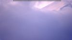 webcam-25-07-05_05-32.jpg