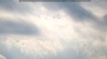 webcam-25-07-05_08-44.jpg