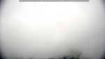 webcam-25-07-08_08-36.jpg