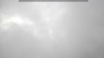 webcam-25-07-08_08-42.jpg