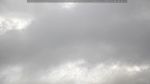 webcam-25-07-08_08-48.jpg