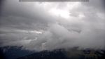 webcam-25-07-08_09-54.jpg
