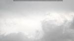 webcam-25-07-08_11-42.jpg