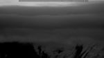 webcam-25-07-17_05-06.jpg