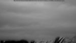 webcam-25-07-17_05-30.jpg