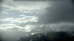 webcam-25-07-17_08-30.jpg