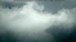 webcam-25-07-17_10-00.jpg