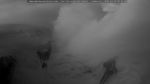 webcam-25-07-19_04-58.jpg