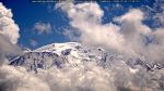 webcam-25-07-22_12-39.jpg