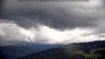 webcam-25-07-25_16-45.jpg