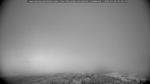 webcam-25-07-26_05-29.jpg