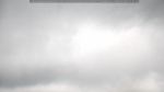 webcam-25-07-26_12-41.jpg