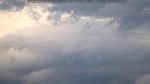 webcam-25-07-26_20-23.jpg