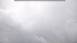 webcam-25-08-02_09-41.jpg