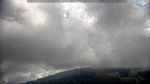 webcam-25-08-02_11-11.jpg
