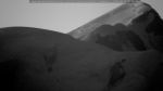 webcam-25-08-13_05-50.jpg