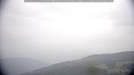 webcam-25-08-19_17-50.jpg